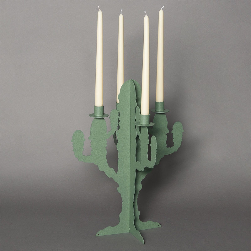 candelabro cactus verde salvia