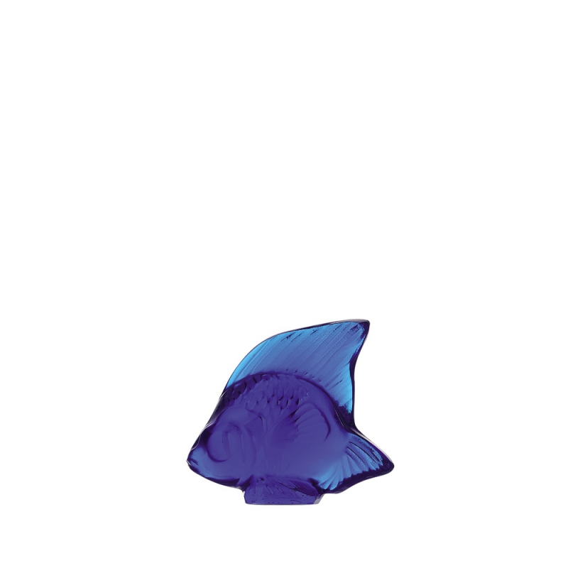 pesce blu