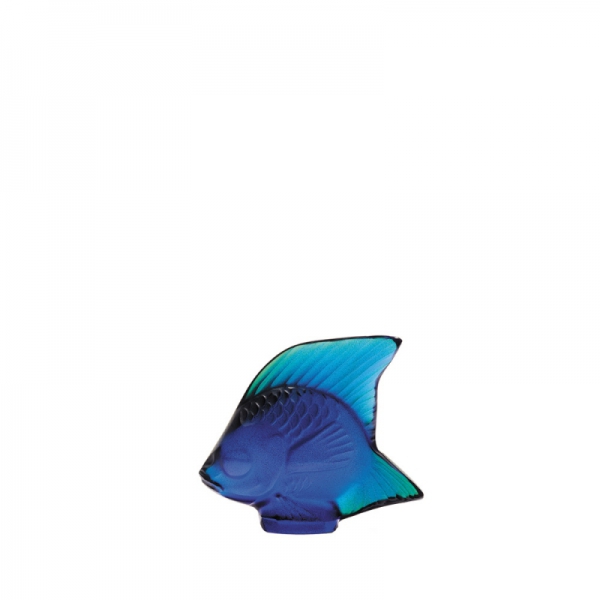 pesce blu lucido
