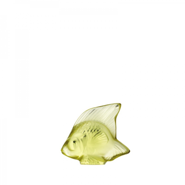 pesce giallo