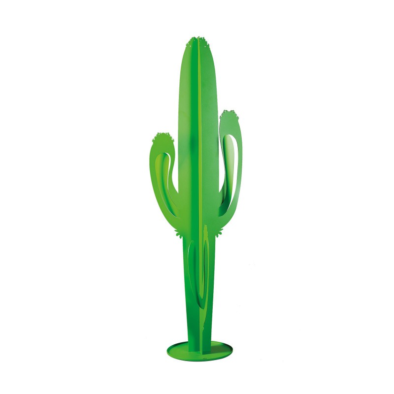 pianta cactus saguaro grande verde