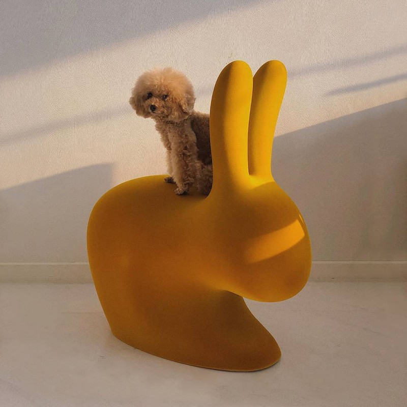 Sedia grande dark gold velvet Rabbit chair
