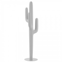 Appendiabiti cactus Saguaro