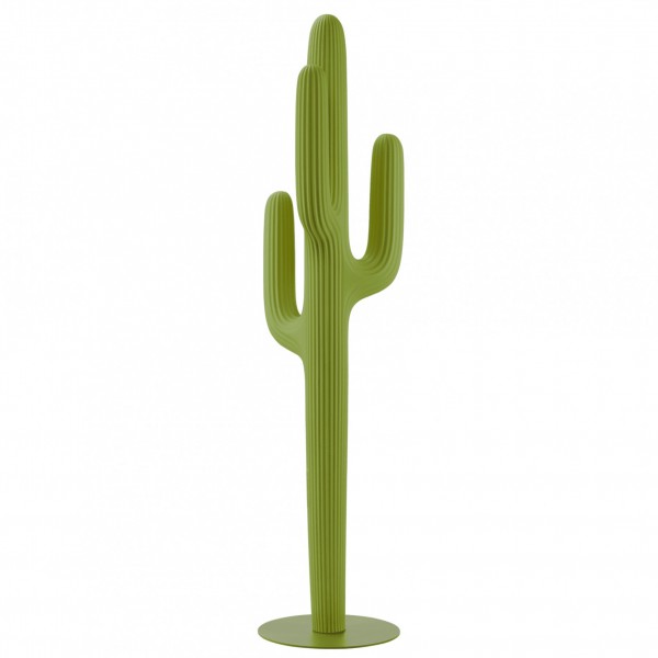 Appendiabiti cactus Saguaro
